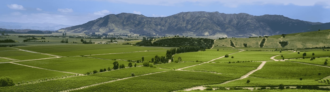valle_colchagua.jpg